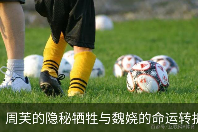 周芙的隐秘牺牲与魏娆的命运转折